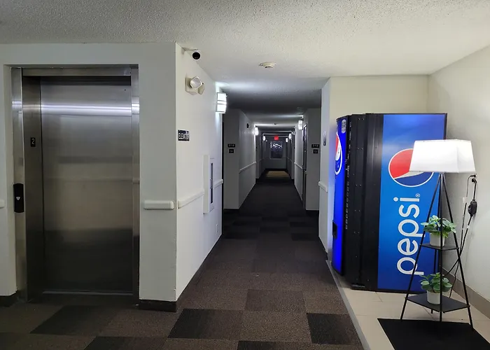 6-minonk, Il