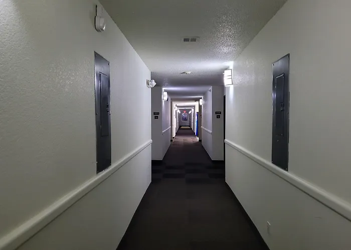 Hotel 6-minonk, Il